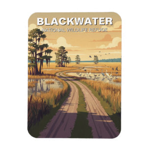 Imán Refugio Nacional de Vida Silvestre Blackwater de M