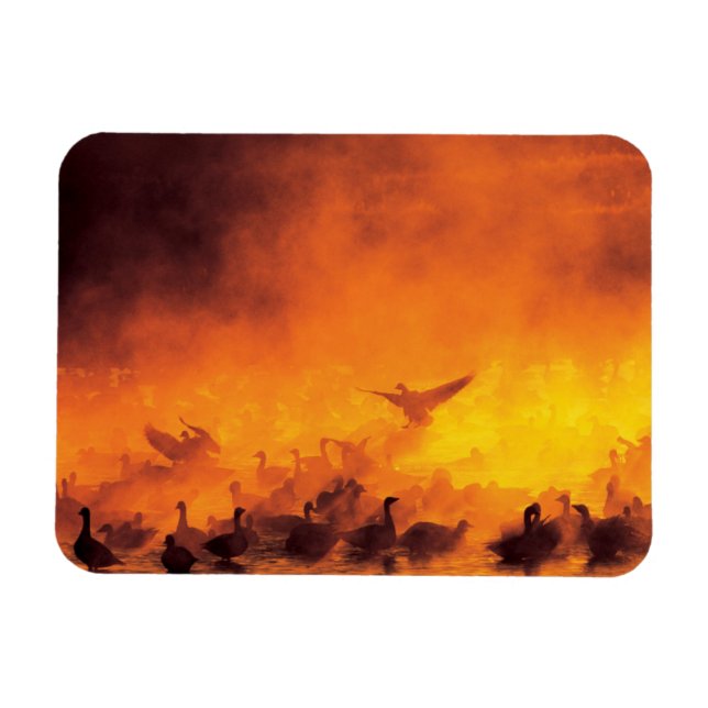 Imán Refugio Nacional de Vida Silvestre Bosque del Apac (Horizontal)