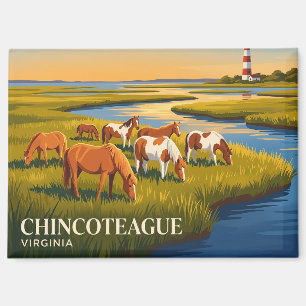 Imán Refugio Nacional de Vida Silvestre de Chincoteague