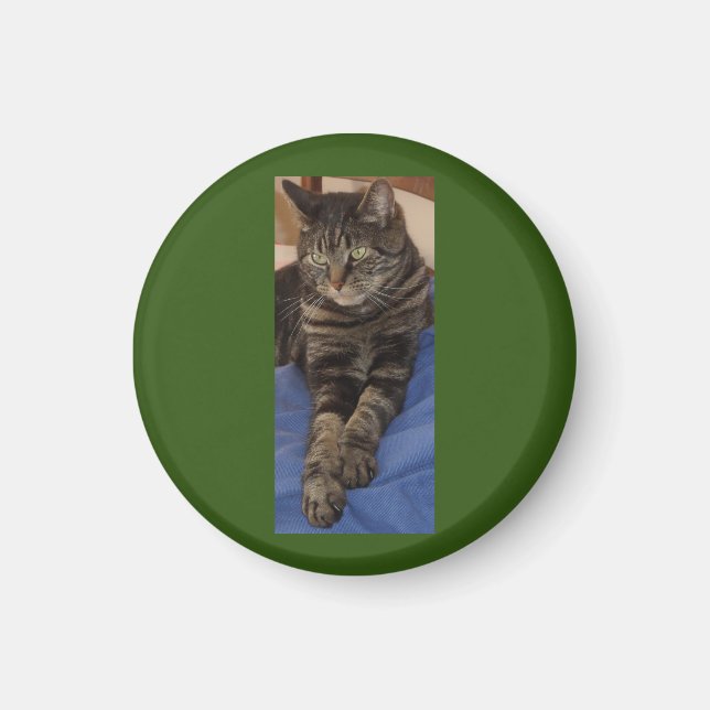 Imán Regal Dave Round Magnet (Frente)