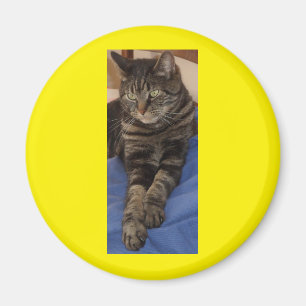 Imán Regal Dave Round Magnet