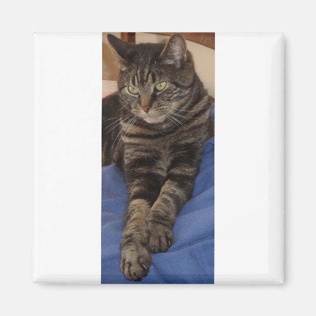 Imán Regal Dave Square Magnet (Frente)