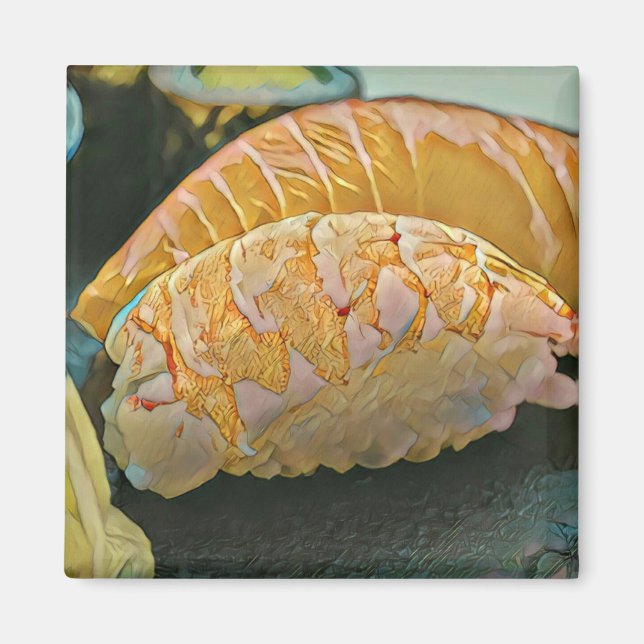 Imán Regalo de amante del sushi (Frente)