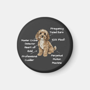 Imán Regalo de Anatomía Divertida de un Perro Cockapoo
