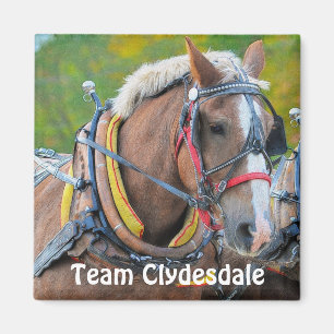 Imán Regalo de arte magnético Clydesdale Draft Horse Te
