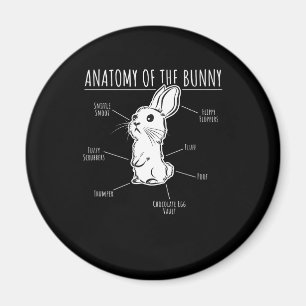 Imán Regalo de conejo Anatomía De Mascota Conejo Conej