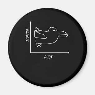 Imán Regalo de conejo Maestro de matemáticas divertid