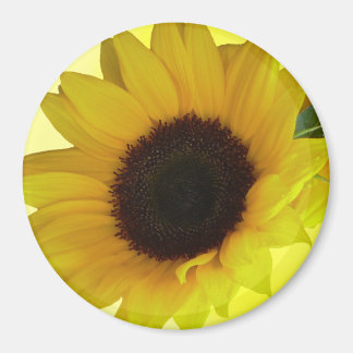 Imán Regalo de Flor Alegre De La Nevera De Giro