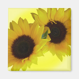 Imán Regalo de Flor Alegre De La Nevera De Giro