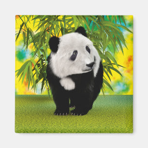 Imán Regalo de oso panda adorable Kawaii para amantes d