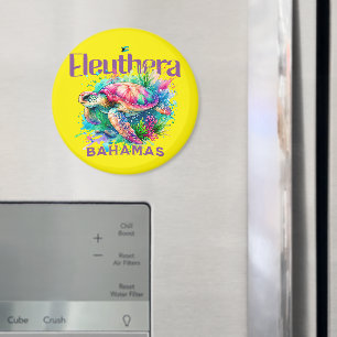 Imán Regalo de recuerdo de Bahamas : tortuga Eleuthera 