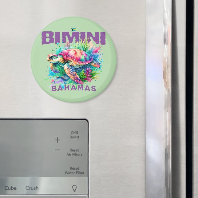 Imán Regalo de recuerdo de Bahamas : Tortuga marina Bim (In situ (nevera))