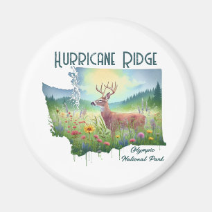 Imán Regalo de recuerdo del parque nacional Hurricane R