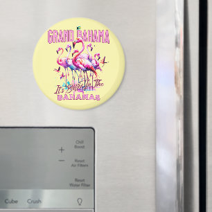 Imán Regalo de souvenirs de las Bahamas: Gran Bahama Fl