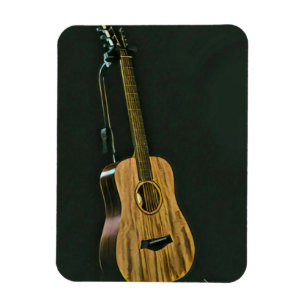 Imán Regalo del guitarrista de Bass