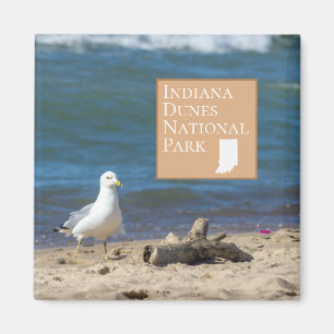Imán Regalo del parque nacional de las dunas de Indiana