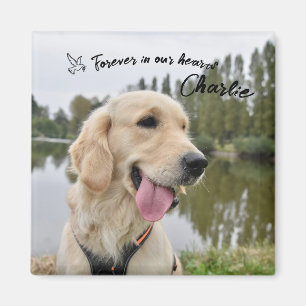 Imán Regalo en memoria de mascota Photo Keepsake