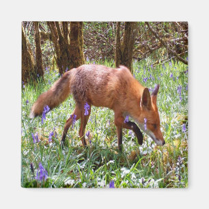 Imán Regalo para amante de la naturaleza del bosque de