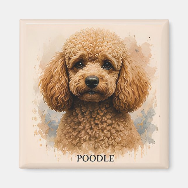 Imán Regalo para Amante de Perros Caniche (Frente)