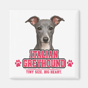 Imán 🐾 Regalo para amantes del galgo italiano🐾