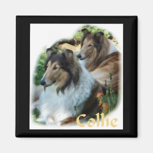 Imán Regalos ásperos del arte del collie