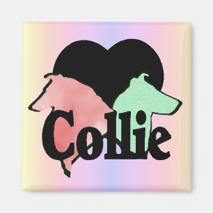 Imán Regalos ásperos y lisos del collie