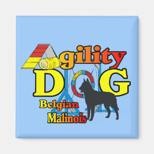 Imán Regalos belgas de Agility Malinois