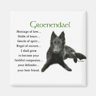 Imán Regalos belgas del perro pastor de Groenendael