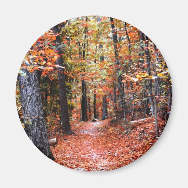 Imán Regalos de acuarela del sendero del otoño del bosq (Frente)