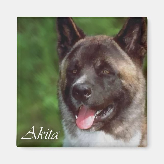 Imán Regalos de Akita (Frente)