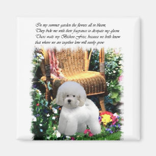 Imán Regalos de arte de Bichon Frise