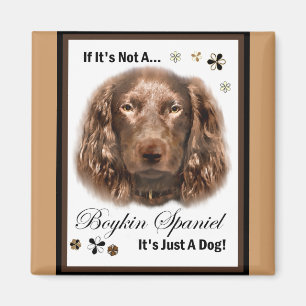 Imán Regalos de arte de Boykin Spaniel