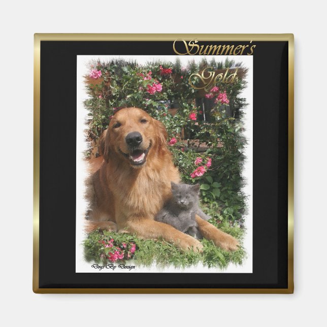 Imán Regalos de arte de Golden Retriever (Frente)