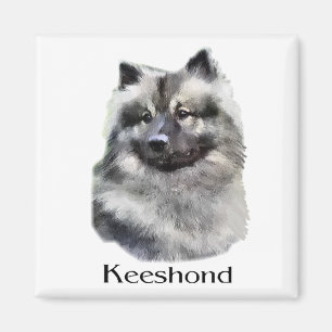 Imán Regalos de arte de Keeshond