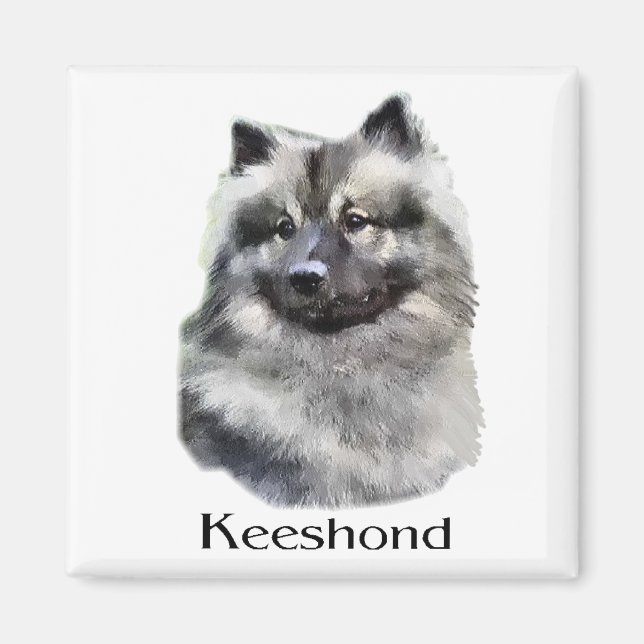 Imán Regalos de arte de Keeshond (Frente)