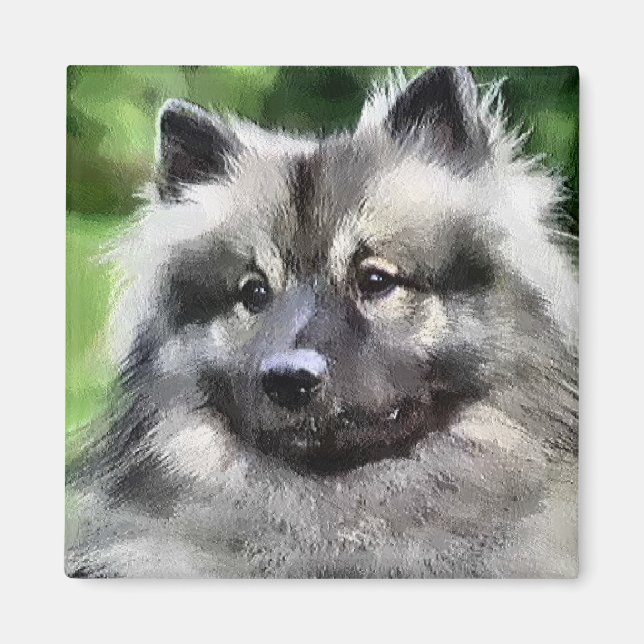 Imán Regalos de arte de Keeshond (Frente)
