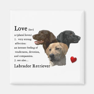 Imán Regalos de arte de Labrador Recuperador