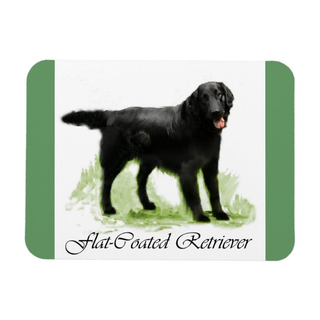 Imán Regalos de arte de recuperación plana (Horizontal)