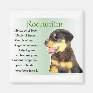 Imán Regalos de arte de Rottweiler