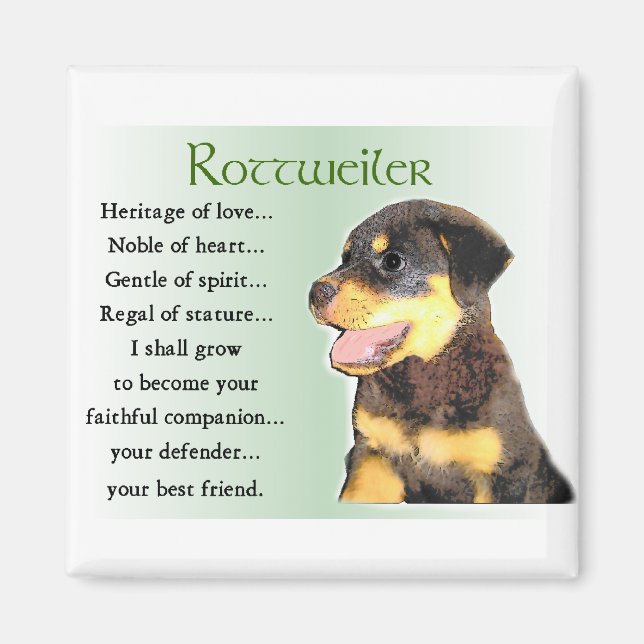 Imán Regalos de arte de Rottweiler (Frente)