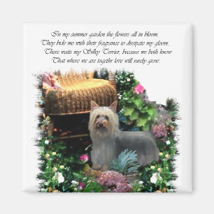 Imán Regalos de arte de Silky Terrier