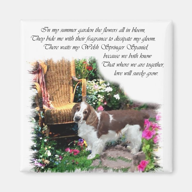 Imán Regalos de arte de Welsh Springer Spaniel (Frente)