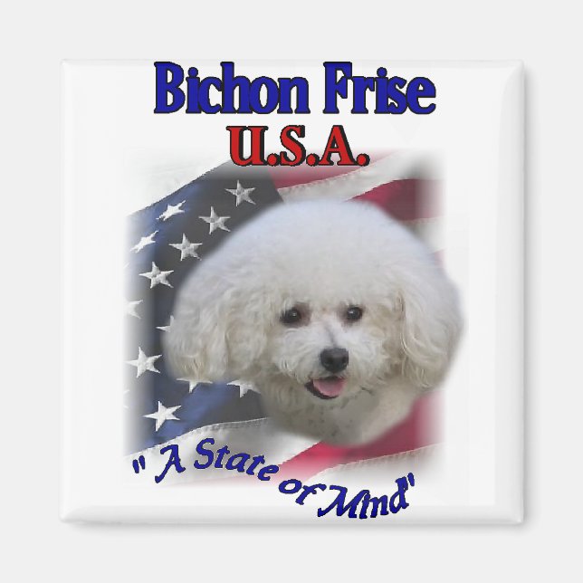 Imán Regalos de Bichon Frise (Frente)