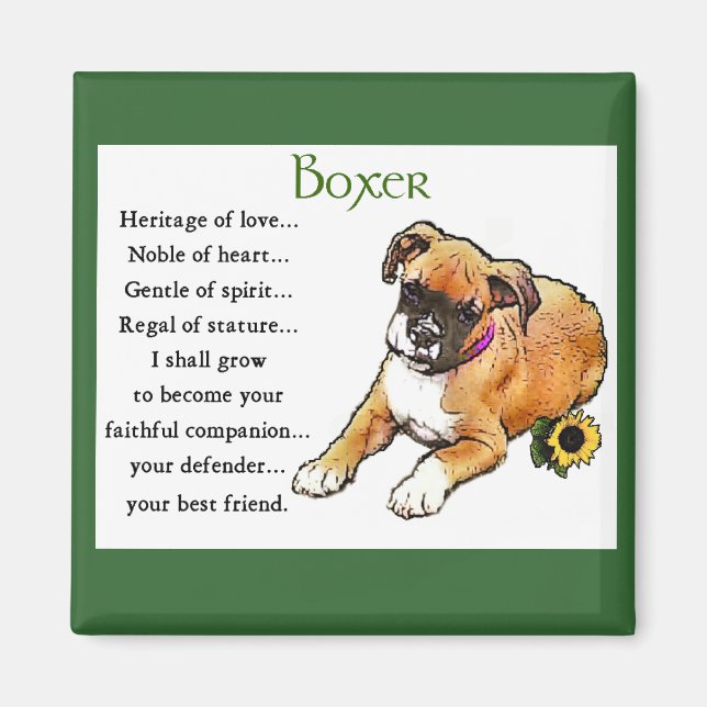 Imán Regalos de boxer (Frente)