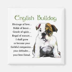 Imán Regalos de Bulldog en inglés