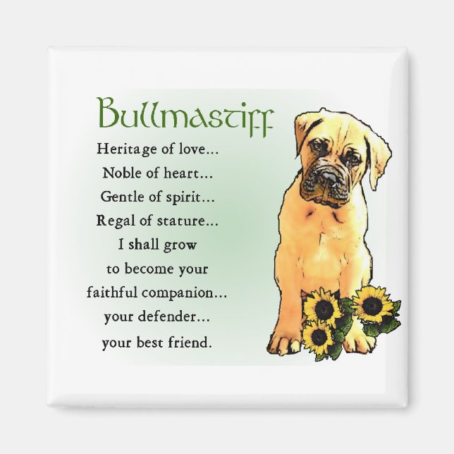 Imán Regalos de bullmastiff (Frente)