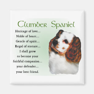 Imán Regalos de Clumber Spaniel