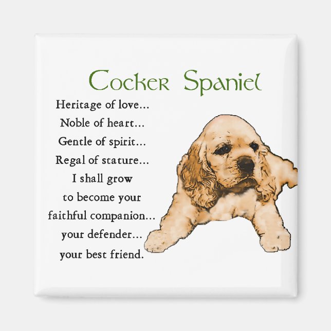 Imán Regalos de Cocker Spaniel Lovers (Frente)