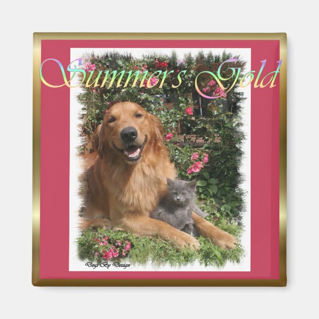 Imán Regalos de Golden Retriever (Frente)