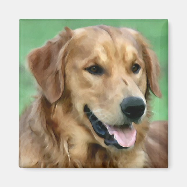 Imán Regalos de Golden Retriever (Frente)